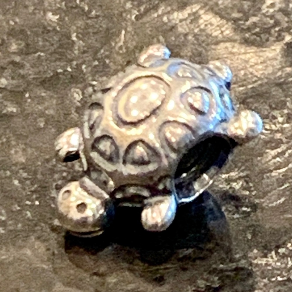 Pandora turtle charm